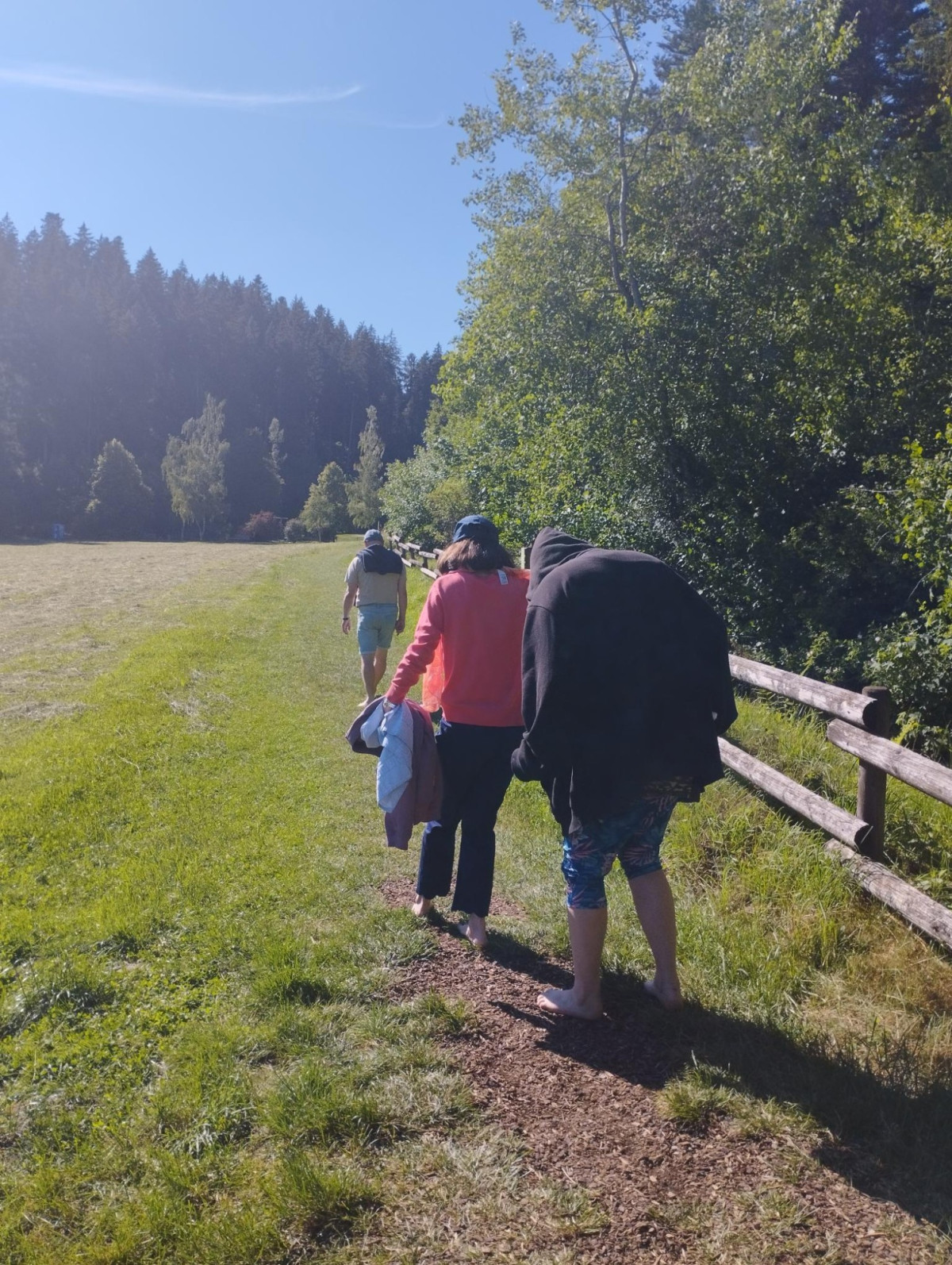 Drei Personen gehen barfu&szlig; &uuml;ber einen Waldweg an einer Wiese entlang, im Hintergrund B&auml;ume.