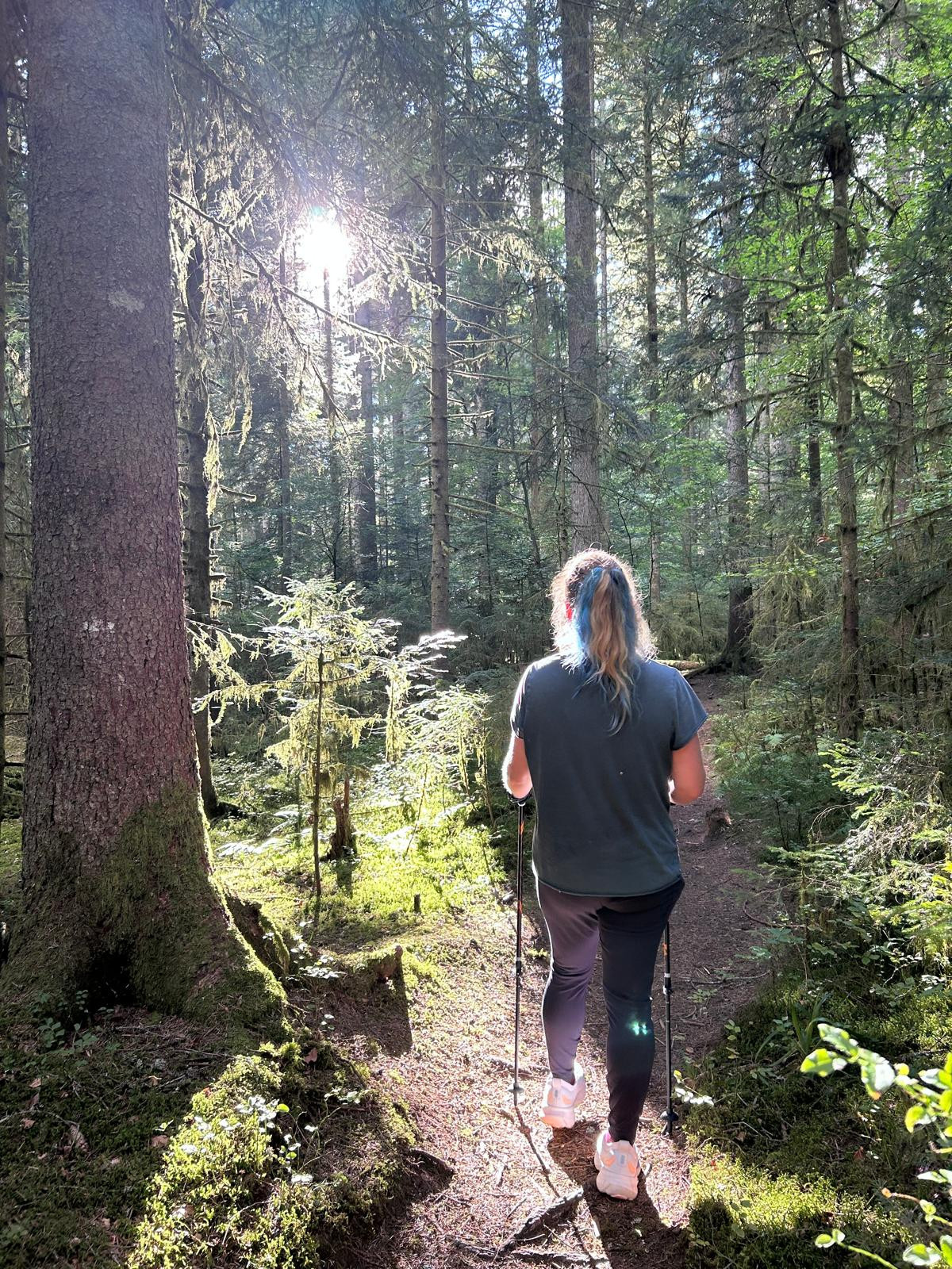 Power-Walking durch den Wald