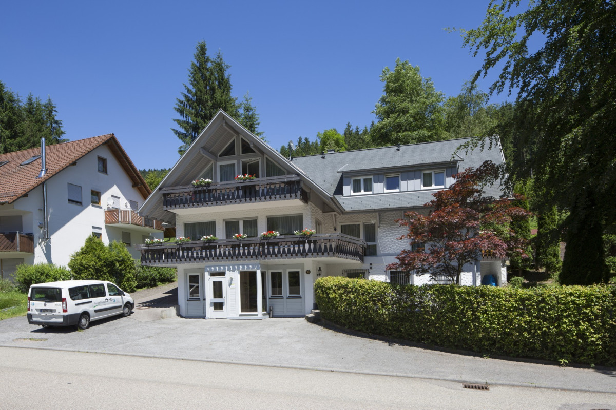Haus am Erlenbach, moderne Bergh&uuml;tte mit Balkon.