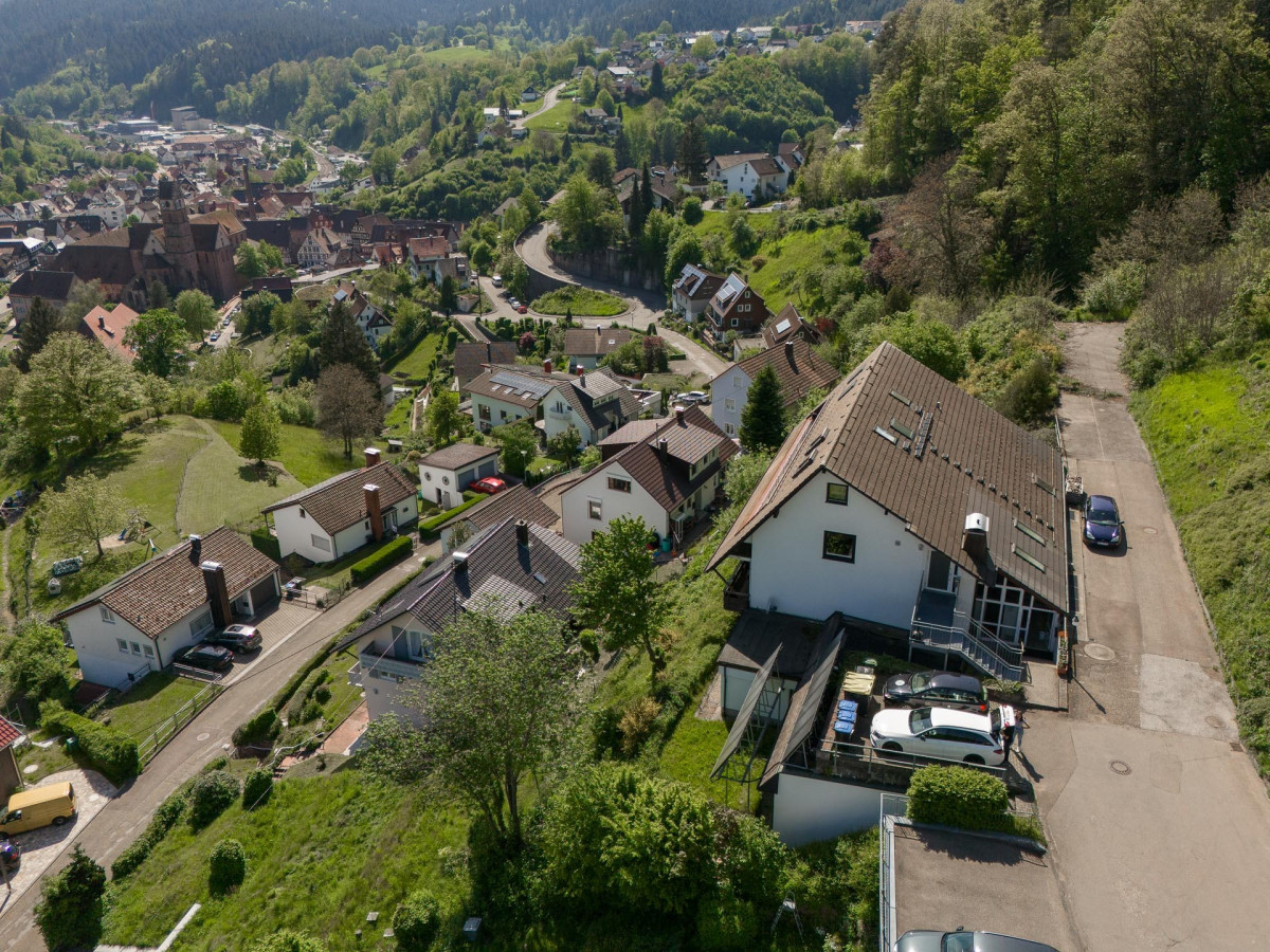 Luftaufnahme zweier Wohnh&auml;user in gr&uuml;ner Umgebung.