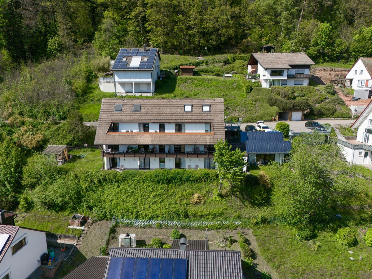 Luftaufnahme zweier moderner Wohnh&auml;user mit G&auml;rten in gr&uuml;ner Umgebung.