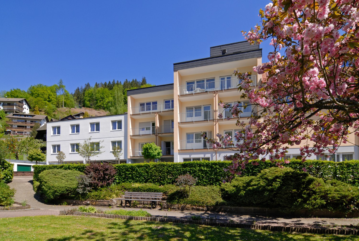 Haus St. Vinzenz mit bl&uuml;hendem Baum.