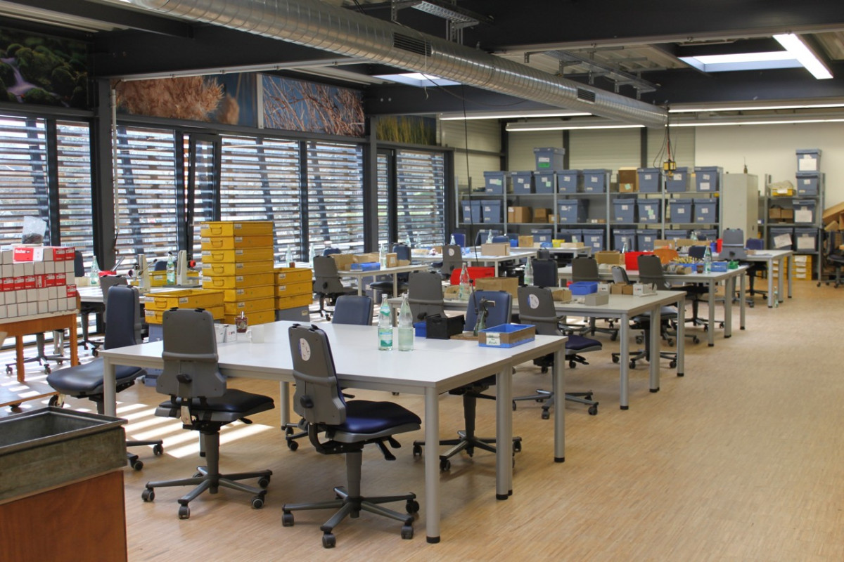 Modernes B&uuml;ro mit Arbeitspl&auml;tzen und Lagersystem.