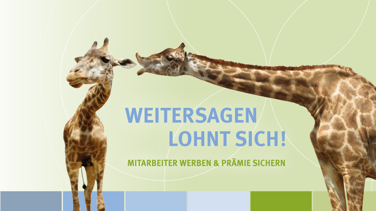 Zwei Giraffen ber&uuml;hren sich sanft mit den K&ouml;pfen, dazu der Text &bdquo;WEITERSAGEN LOHNT SICH! MITARBEITER WERBEN & PR&Auml;MIE SICHERN&ldquo;.