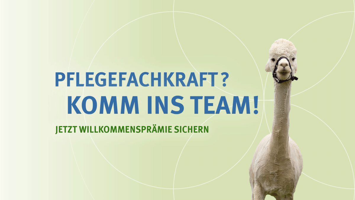 Stehendes Alpaka informiert &uuml;ber Willkommenspr&auml;mie f&uuml;r Pflegefachkr&auml;fte